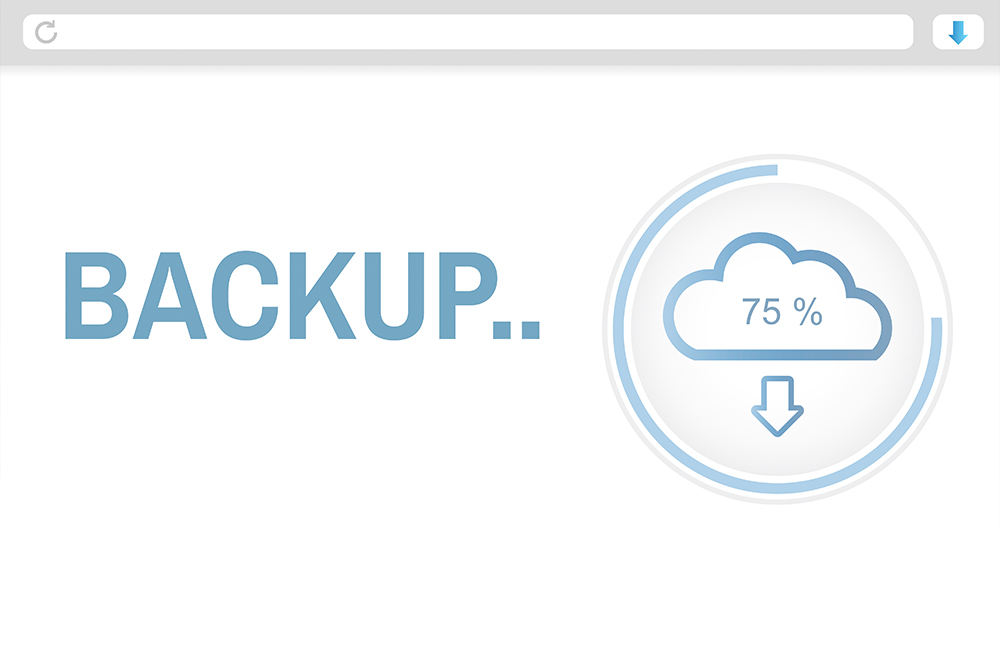 Secure data backup
